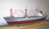 37_Hector-1.jpg