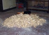15_Spaene-ohne-Ende.jpg
